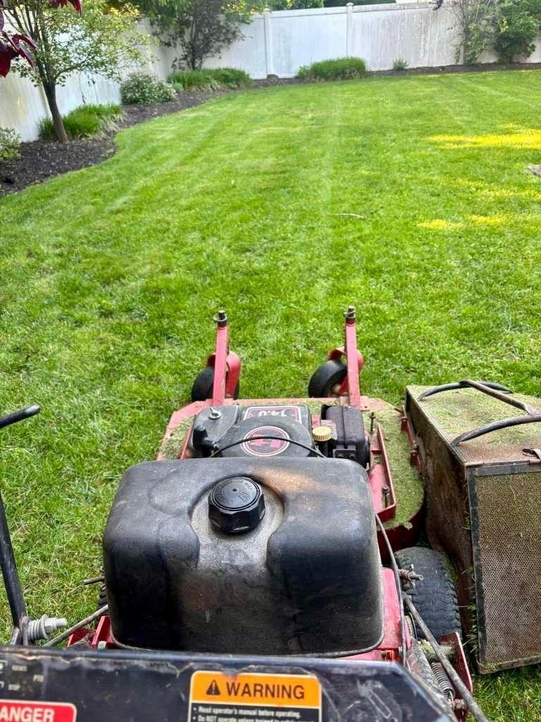Freshly maintained lawn